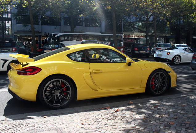 Porsche 981 Cayman GT4