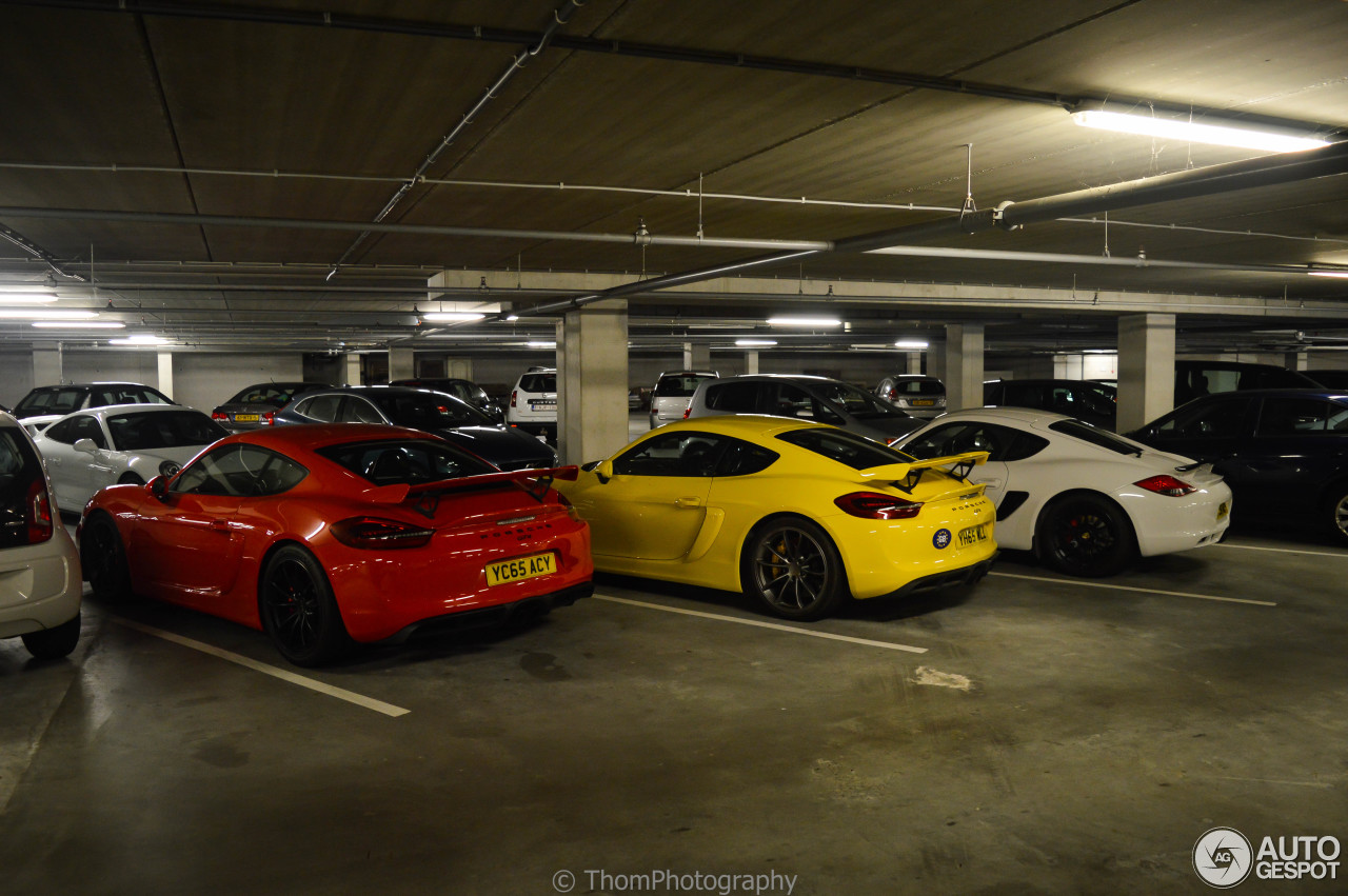 Porsche 987 Cayman R