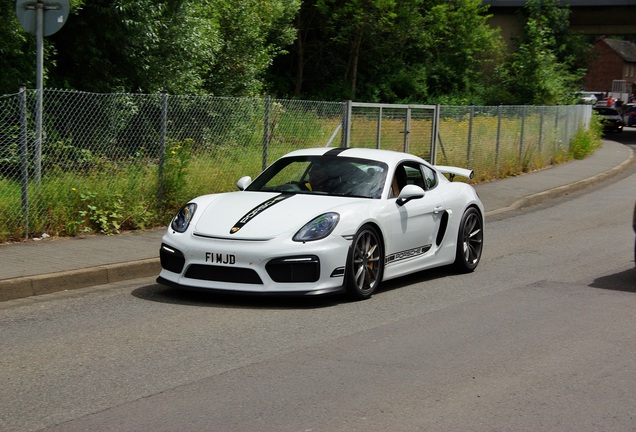 Porsche 981 Cayman GT4