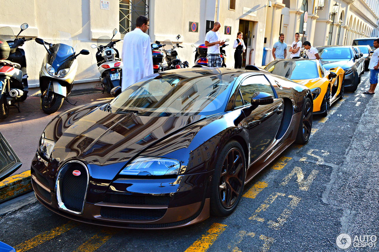 Bugatti Veyron 16.4 Grand Sport Vitesse Rembrandt Bugatti