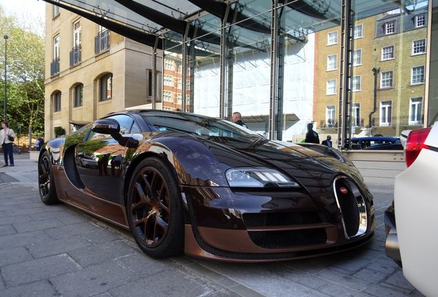 Bugatti Veyron 16.4 Grand Sport Vitesse Rembrandt Bugatti