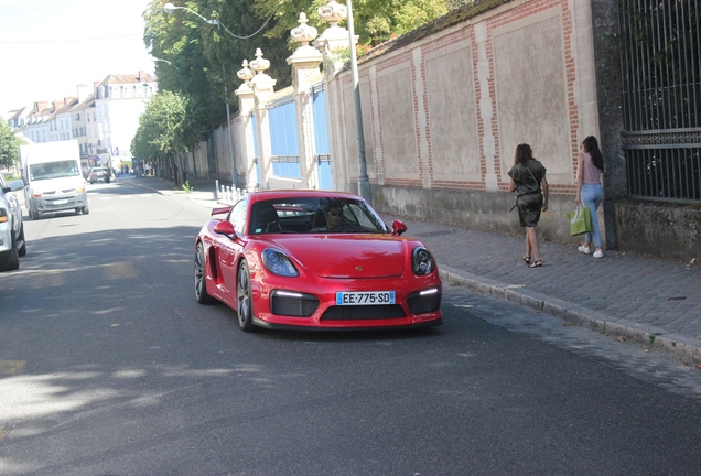 Porsche 981 Cayman GT4