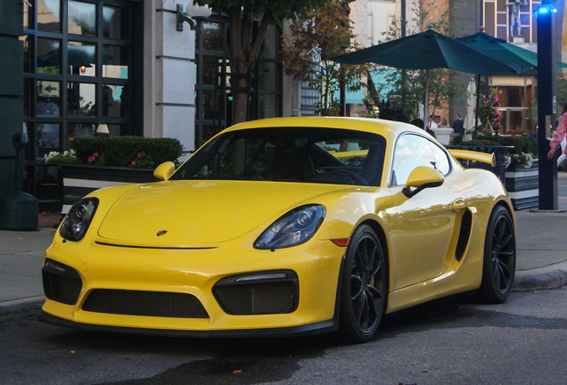 Porsche 981 Cayman GT4