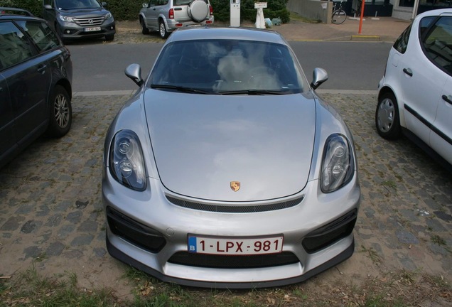 Porsche 981 Cayman GT4