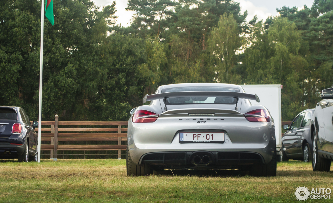 Porsche 981 Cayman GT4