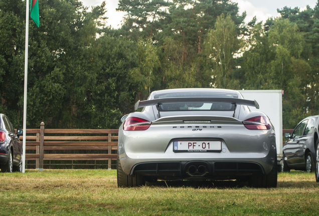 Porsche 981 Cayman GT4