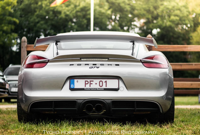 Porsche 981 Cayman GT4