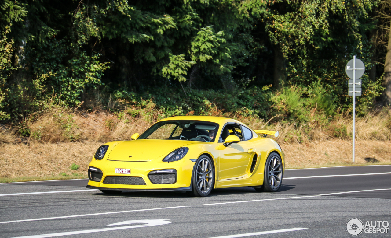 Porsche 981 Cayman GT4