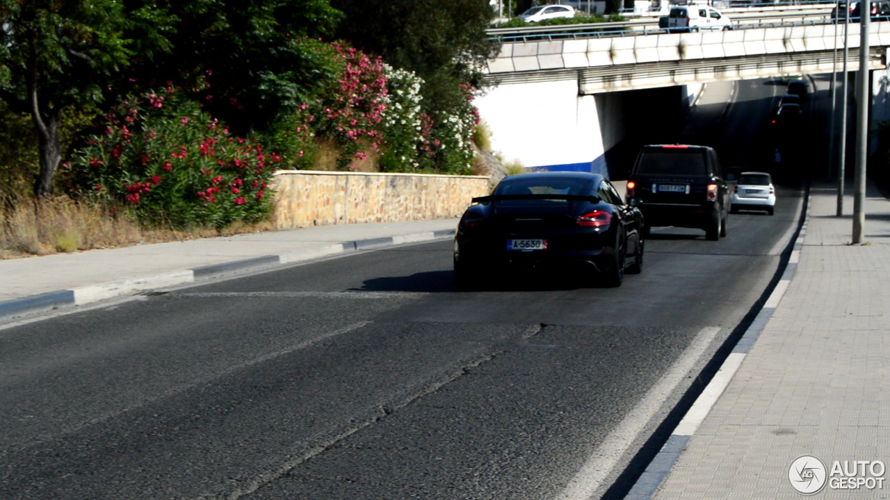 Porsche 981 Cayman GT4