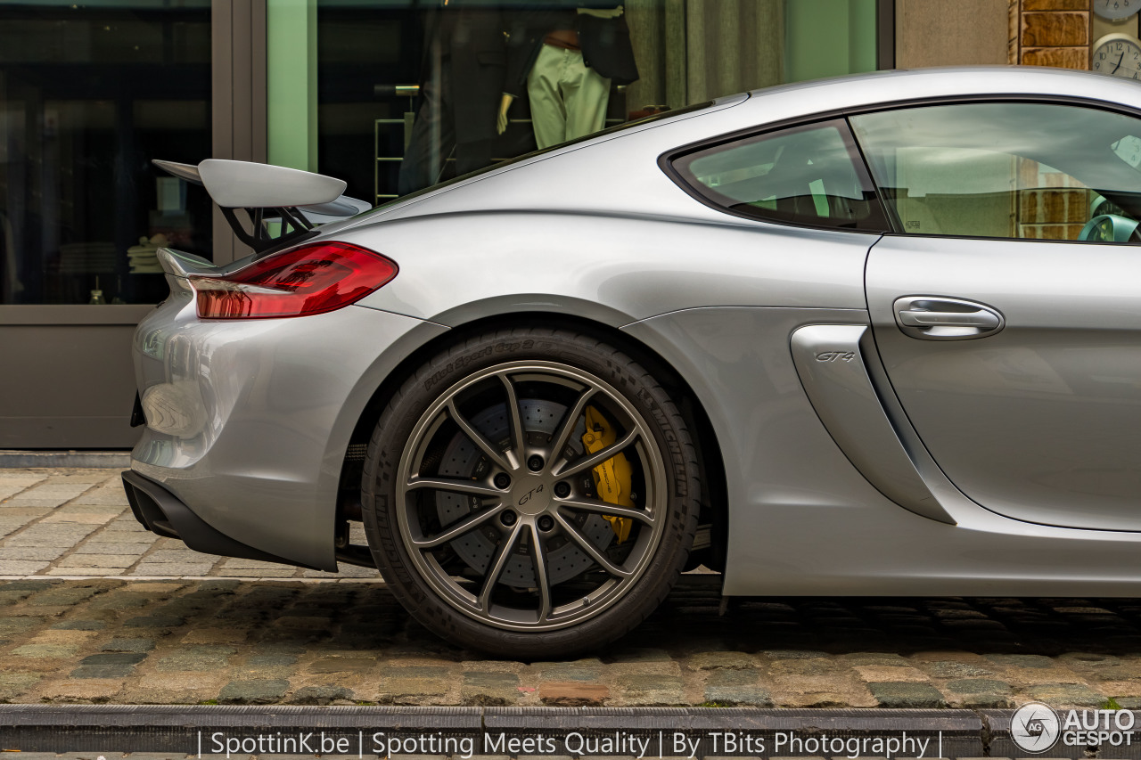 Porsche 981 Cayman GT4