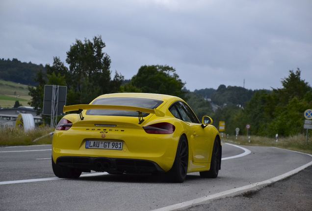 Porsche 981 Cayman GT4