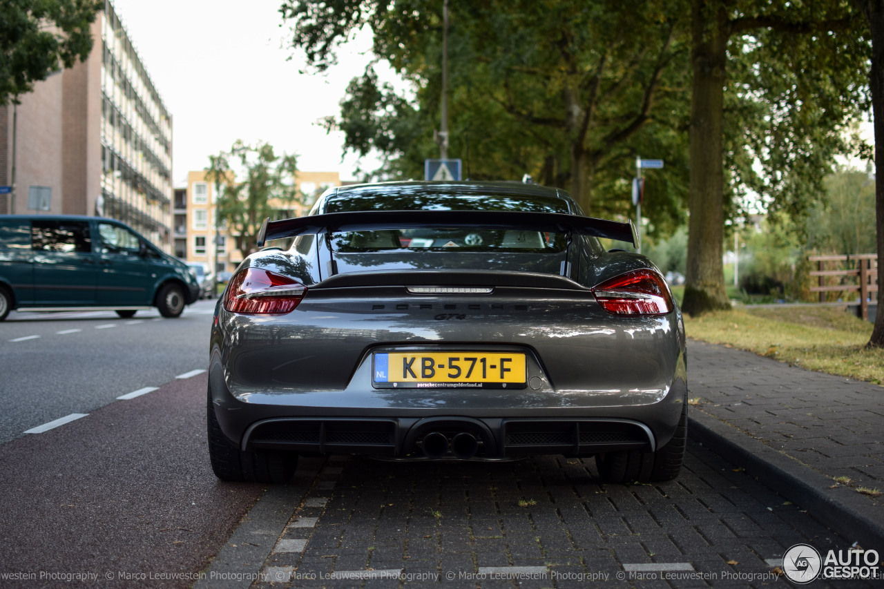 Porsche 981 Cayman GT4