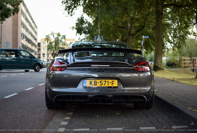 Porsche 981 Cayman GT4