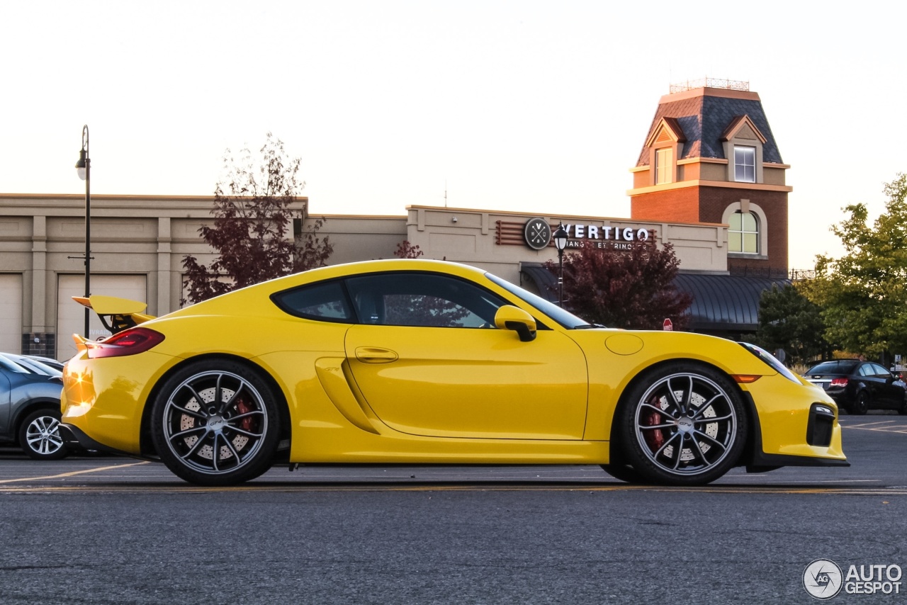 Porsche 981 Cayman GT4