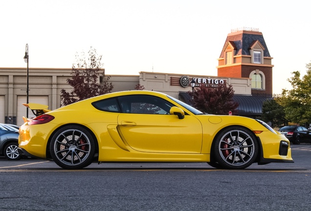 Porsche 981 Cayman GT4