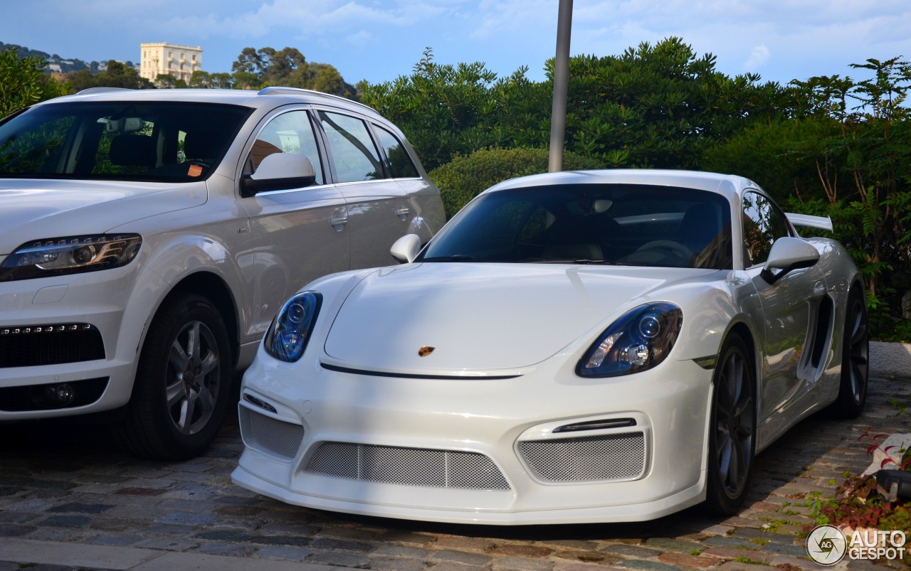 Porsche 981 Cayman GT4