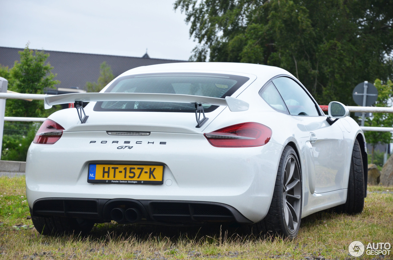 Porsche 981 Cayman GT4