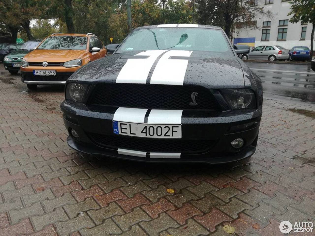 Ford Mustang Shelby GT500