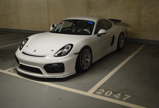 Porsche 981 Cayman GT4 Clubsport