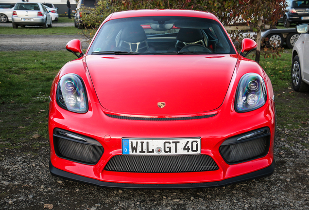 Porsche 981 Cayman GT4