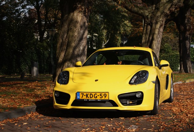 Porsche 981 Cayman S