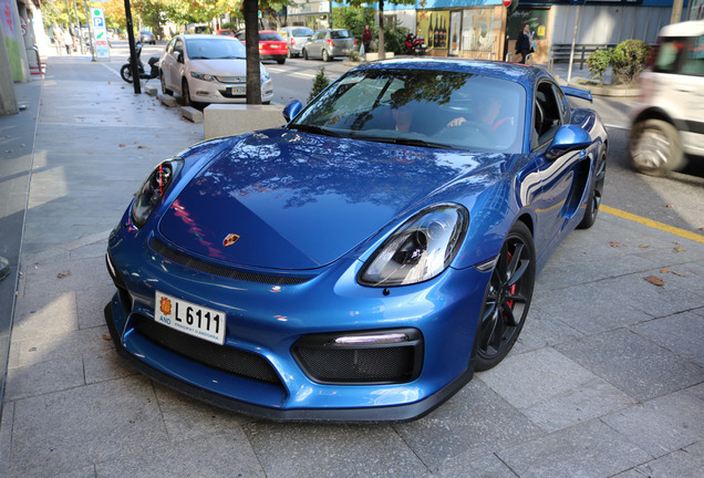 Porsche 981 Cayman GT4