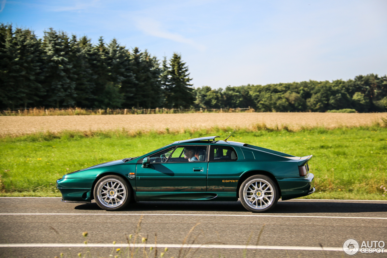 Lotus Esprit S4 GT3
