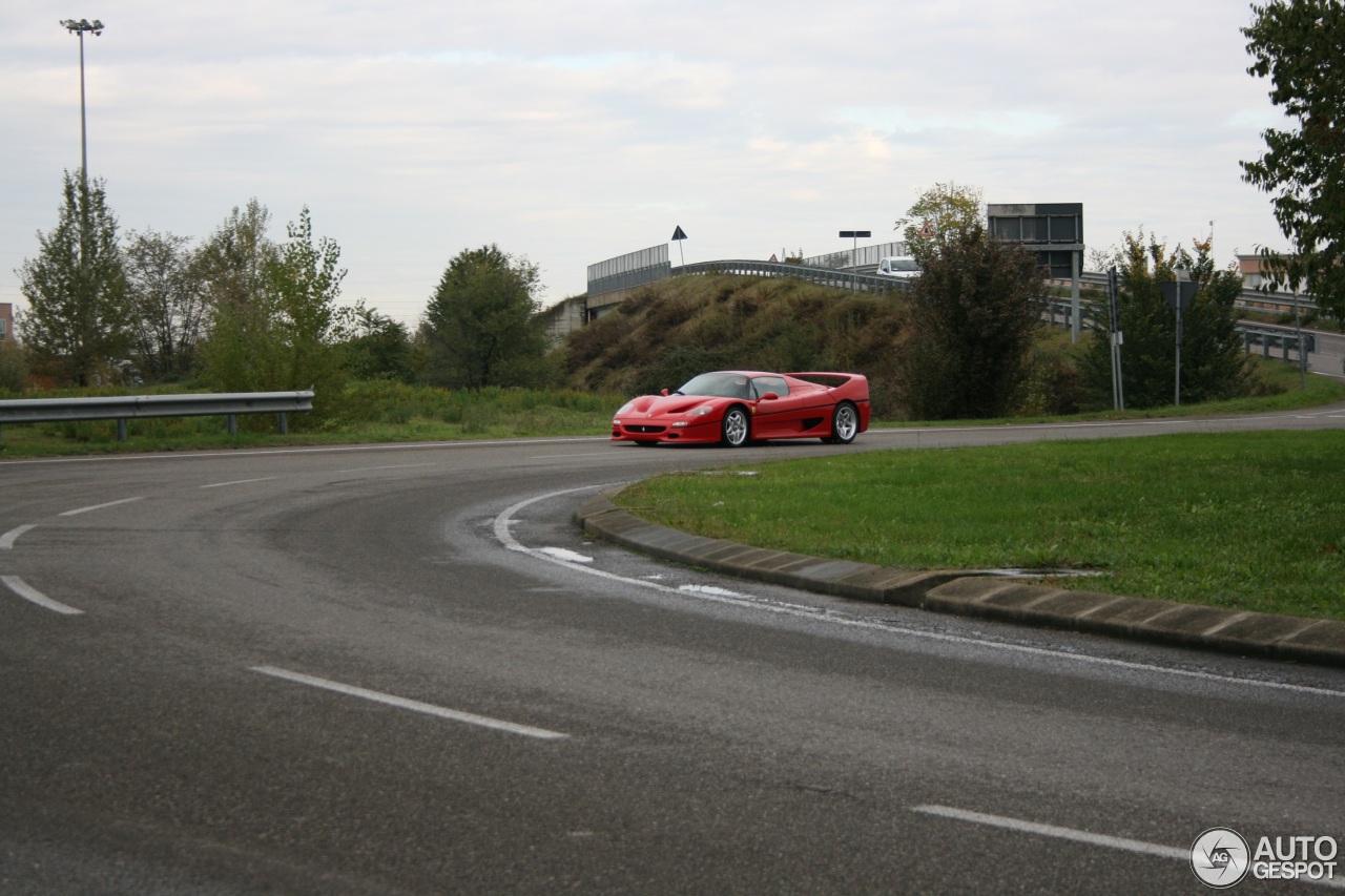 Ferrari F50