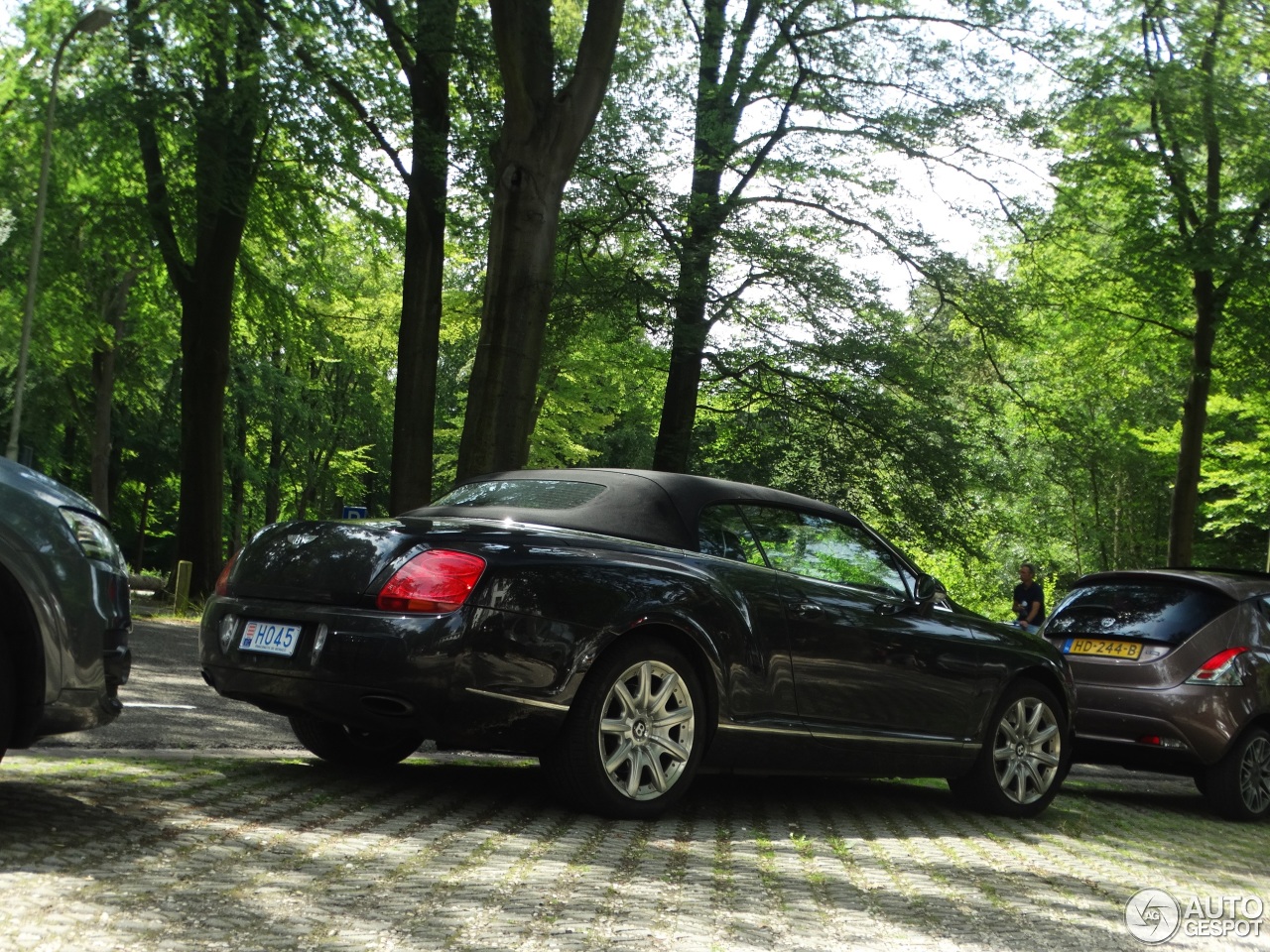 Bentley Continental GTC