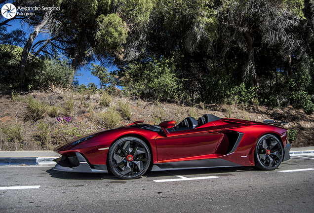 Lamborghini Aventador J