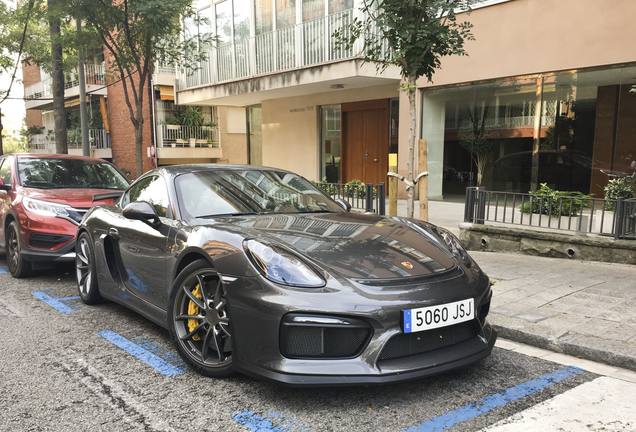 Porsche 981 Cayman GT4