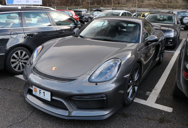 Porsche 981 Cayman GT4