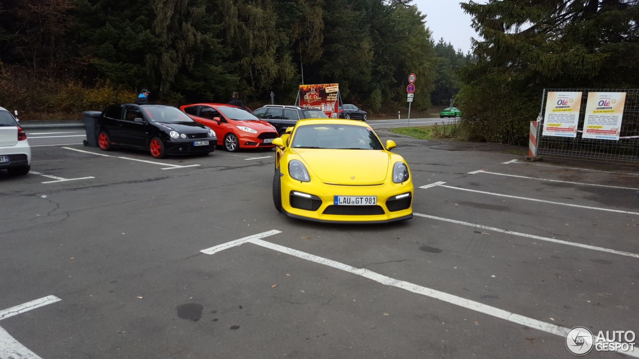 Porsche 981 Cayman GT4