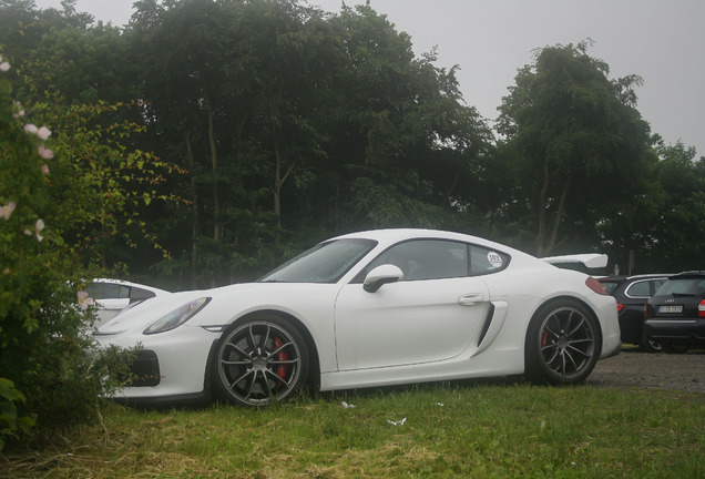 Porsche 981 Cayman GT4