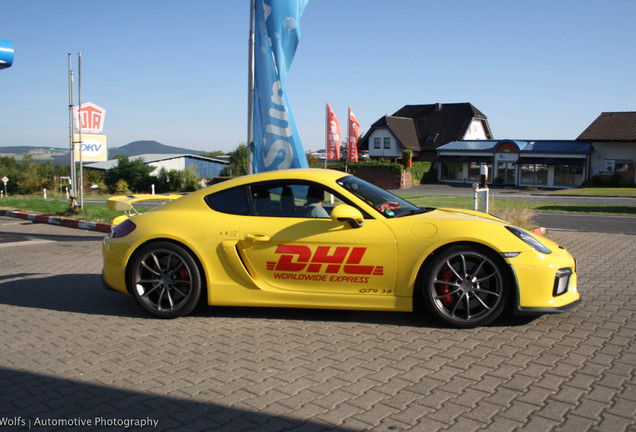 Porsche 981 Cayman GT4