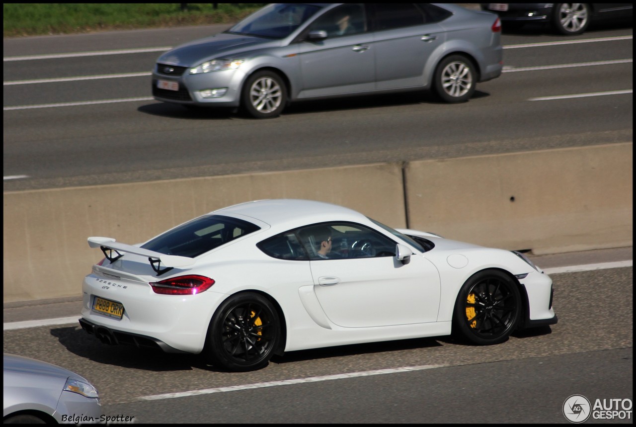 Porsche 981 Cayman GT4