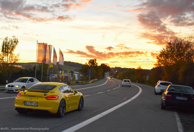 Porsche 981 Cayman GT4