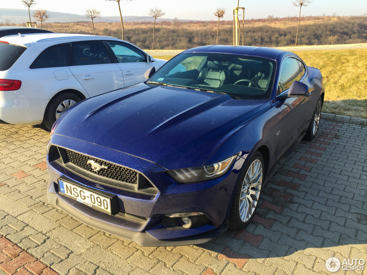 Ford Mustang GT 2015