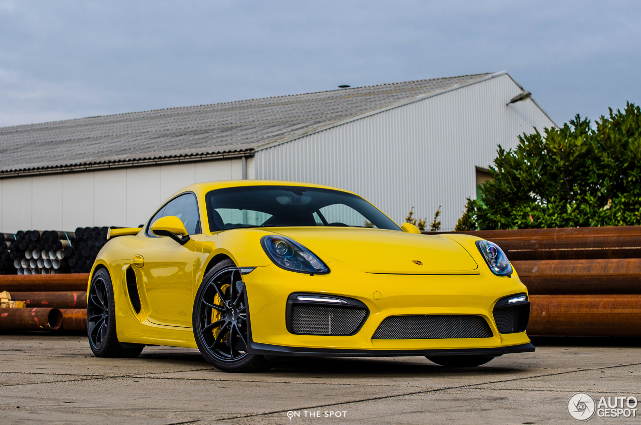 Porsche 981 Cayman GT4