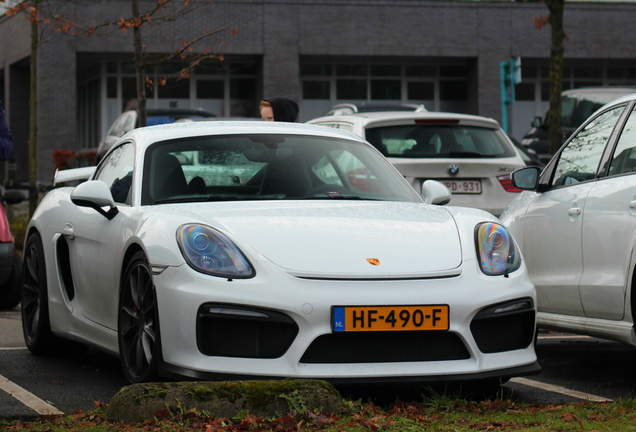 Porsche 981 Cayman GT4