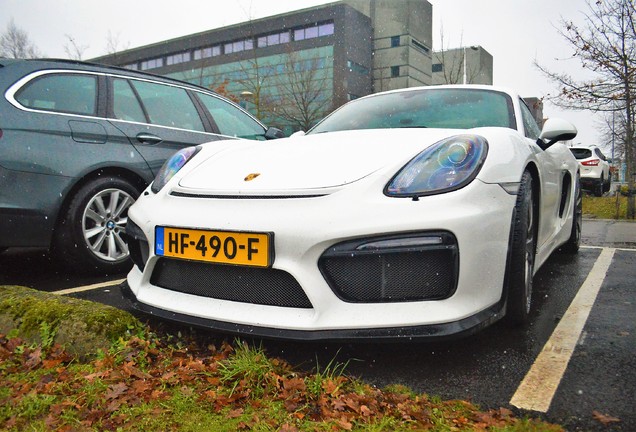 Porsche 981 Cayman GT4