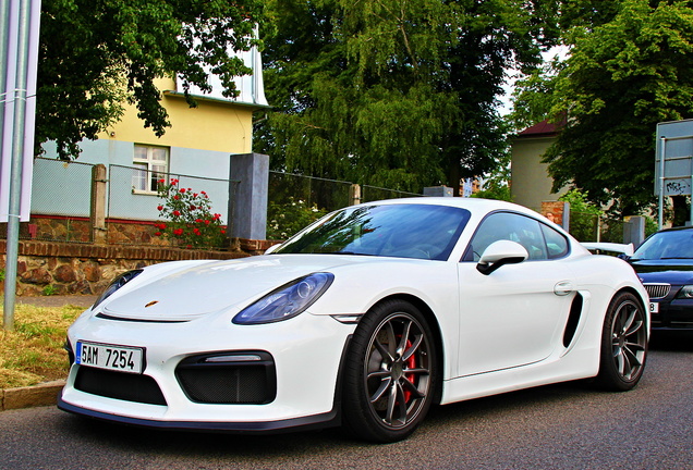 Porsche 981 Cayman GT4