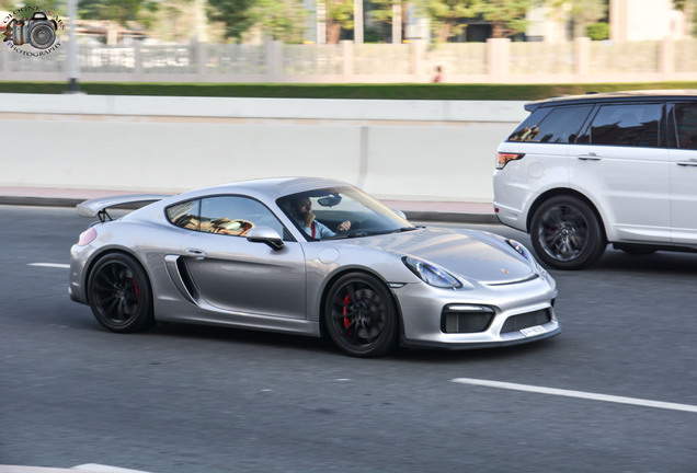 Porsche 981 Cayman GT4