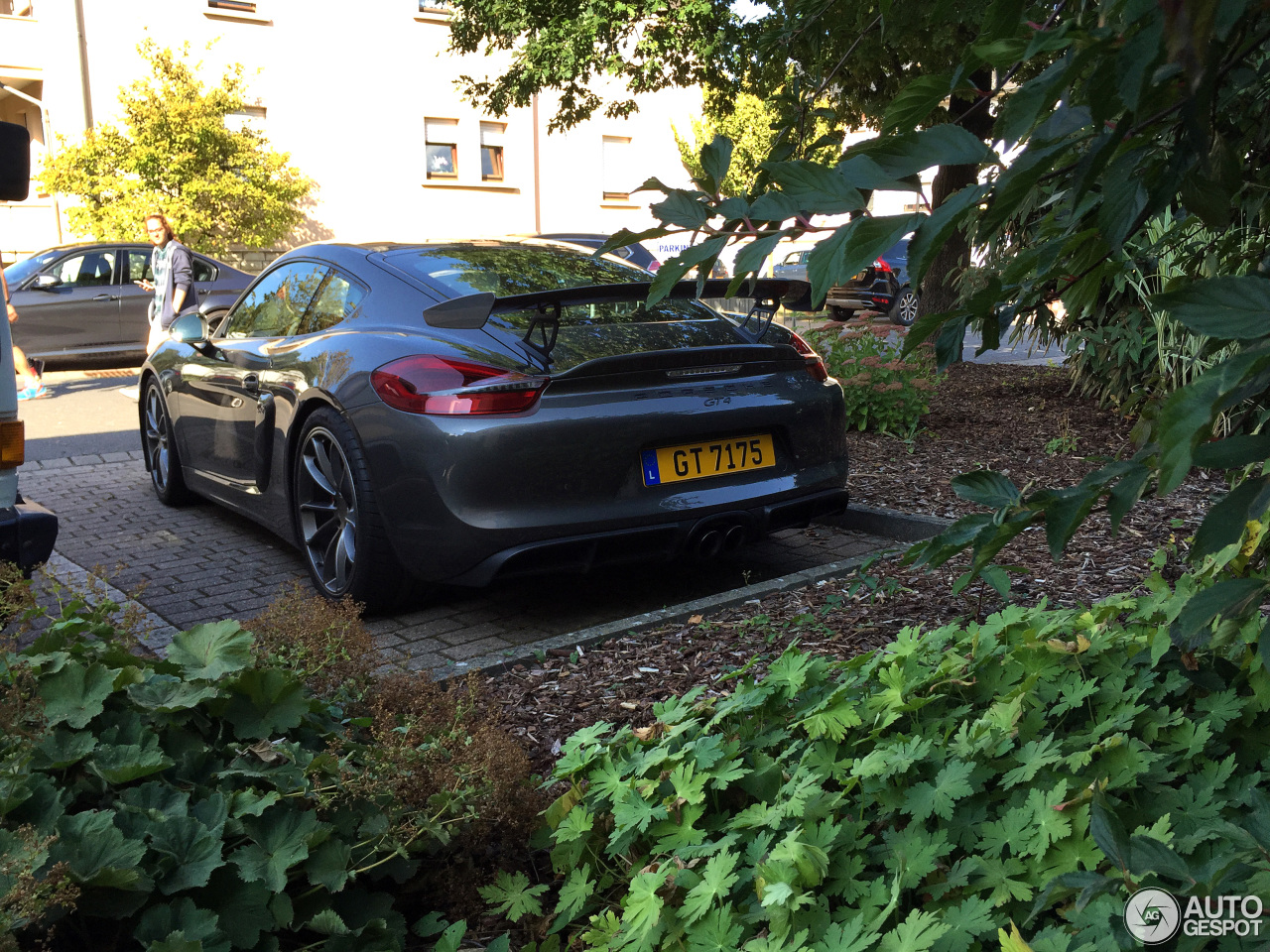 Porsche 981 Cayman GT4