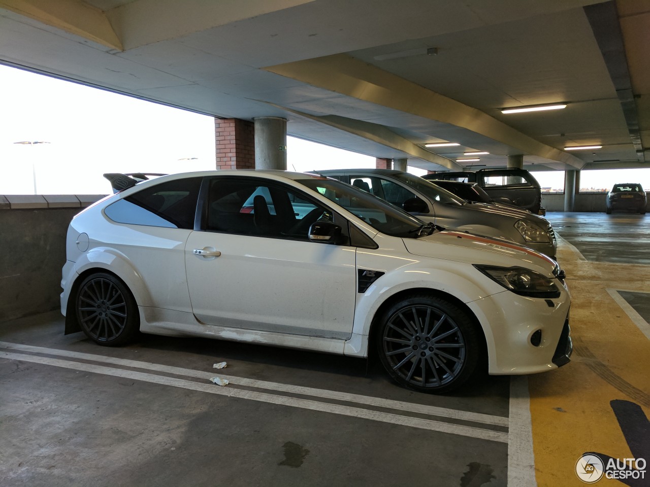 Pumaspeed focus hot sale rs