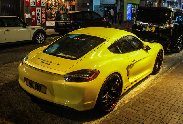 Porsche 981 Cayman S