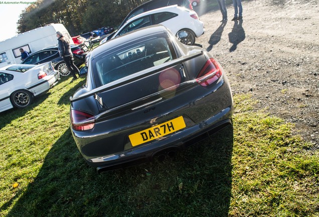 Porsche 981 Cayman GT4