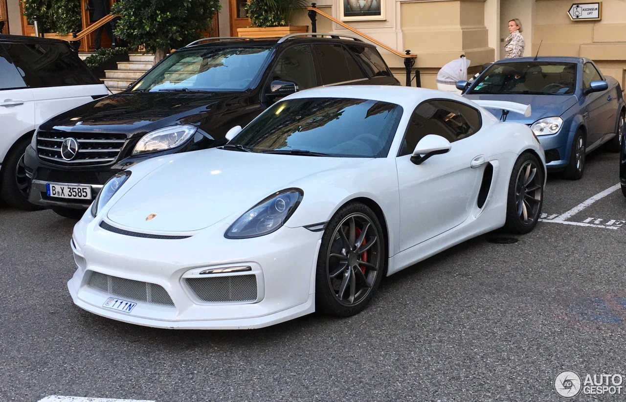 Porsche 981 Cayman GT4