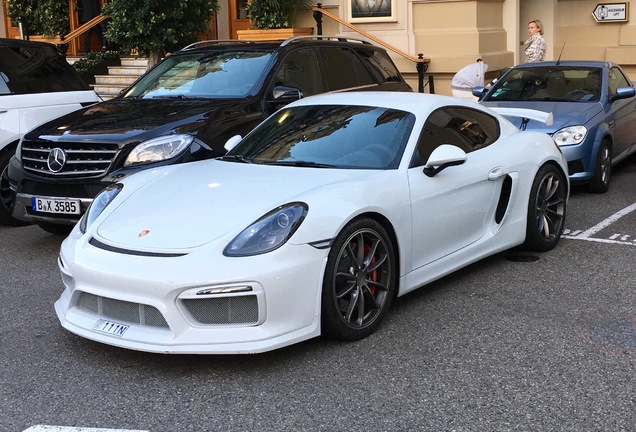 Porsche 981 Cayman GT4