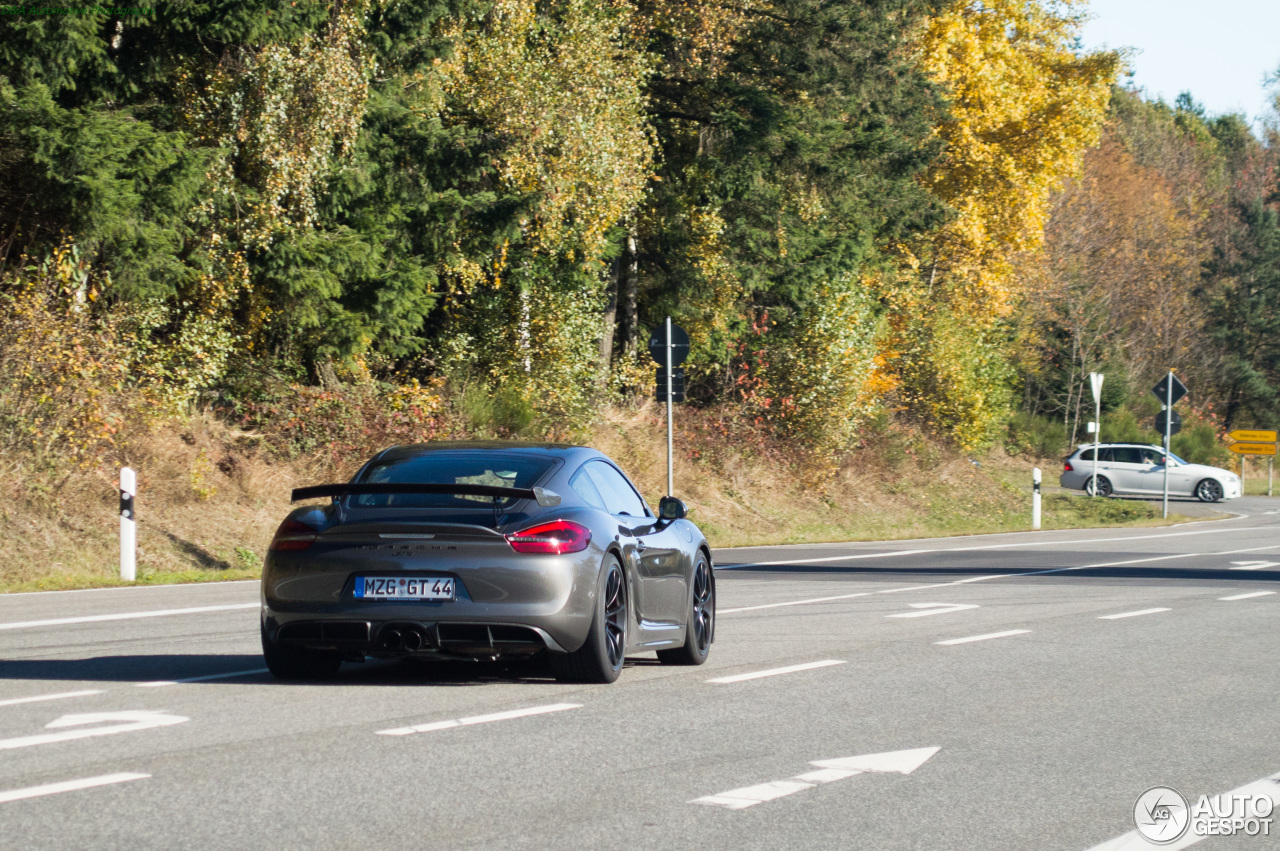 Porsche 981 Cayman GT4